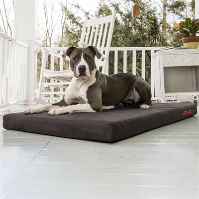 DGS Ninja Bed Slitstark & Hållbar Hundmadrass Medium 53x76 cm